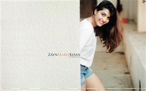 Aamir Khan set to launch her niece, Zayn Marie Khan - daughter of Mansoor Khan